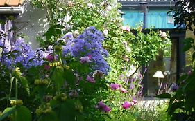 La Colline Des Roses
