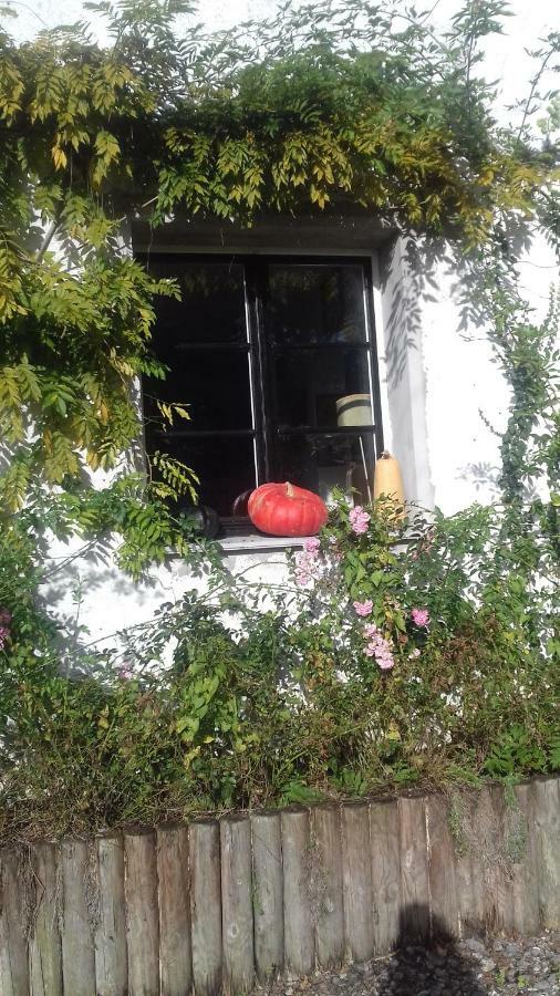 Bed and Breakfast La Colline Des Roses Conchil-le-Temple Exterior foto
